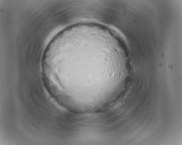 X0000071941287200607281934