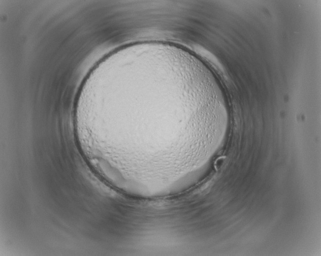 X0000071941288200607281934