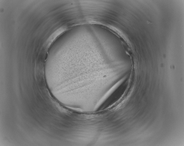 X0000071941289200607281934