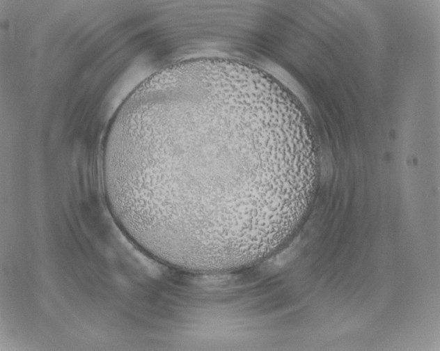 X0000071941290200607281934