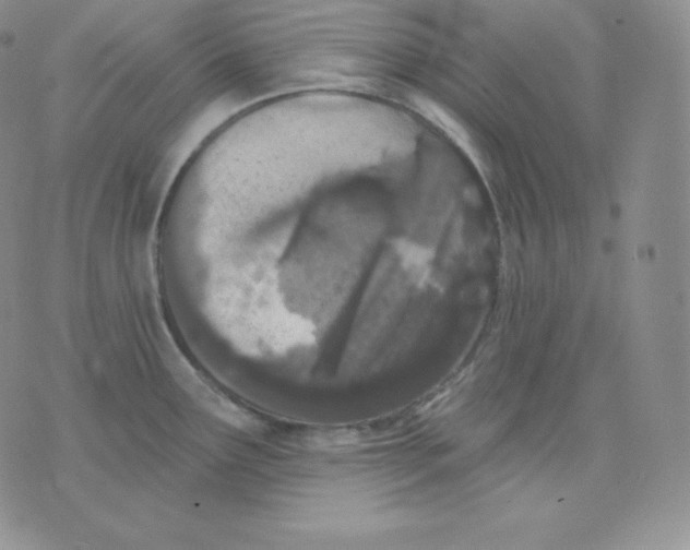 X0000071941291200607281934