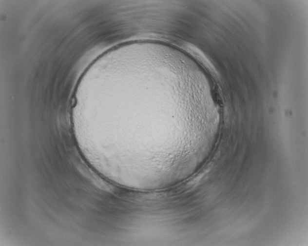 X0000071941292200607281934