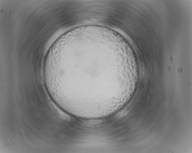 X0000071941294200607281934