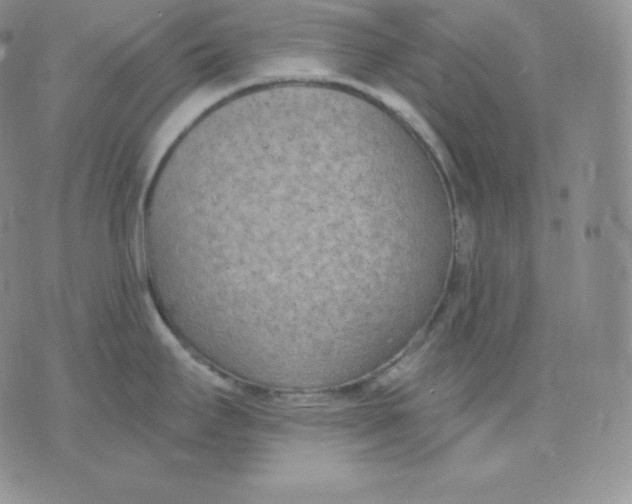 X0000071941295200607281934