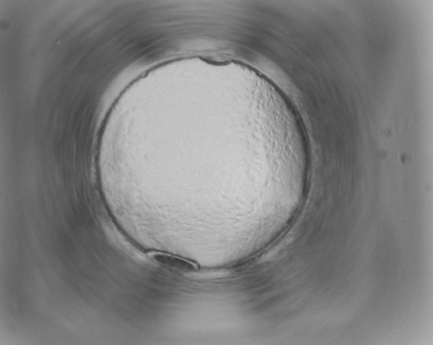 X0000071941296200607281934