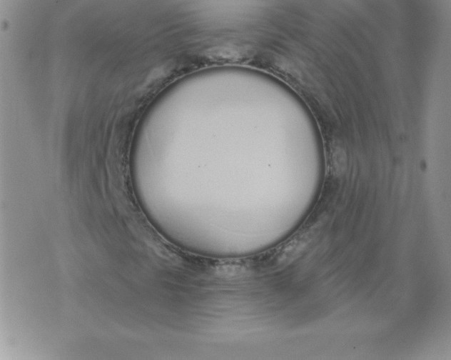 X0000071941297200607281933