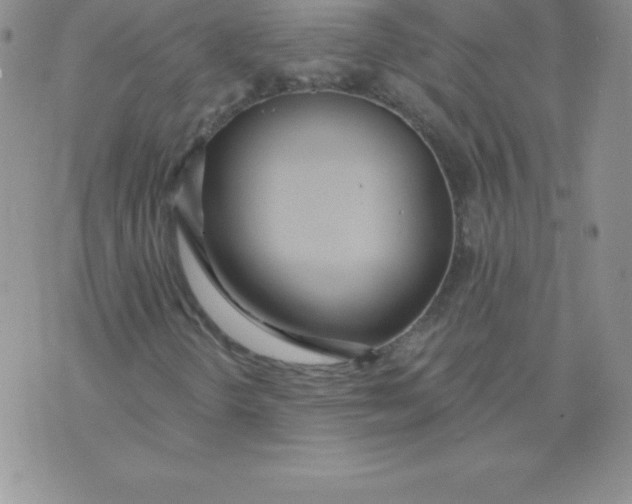 X0000071941298200607281933