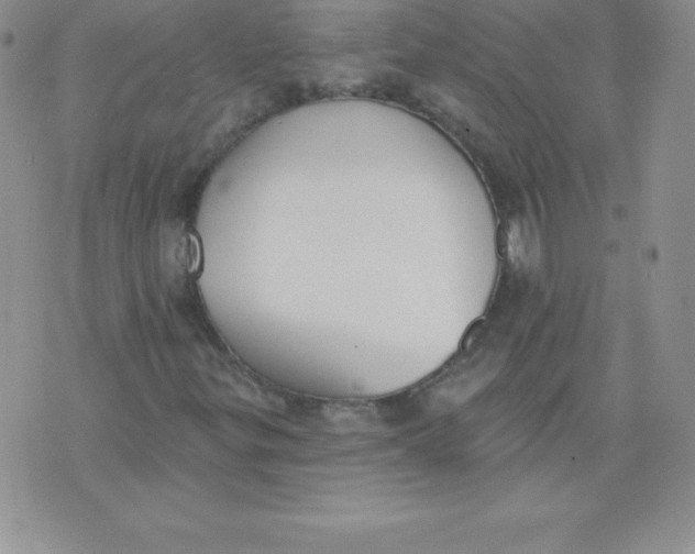 X0000071941299200607281933