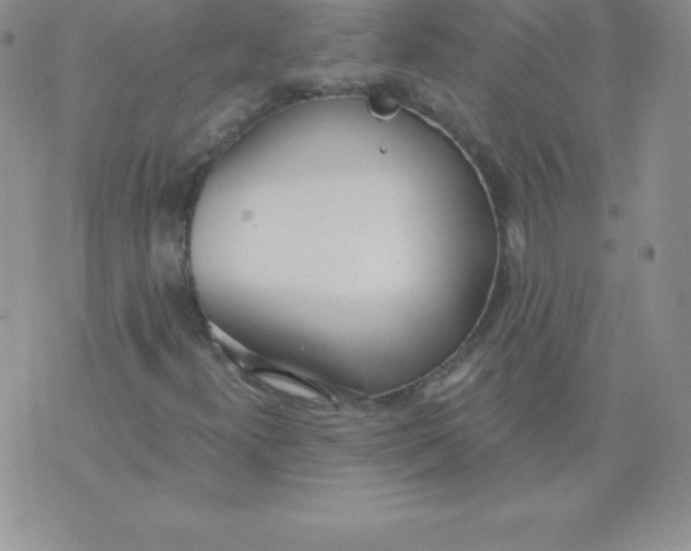 X0000071941300200607281933