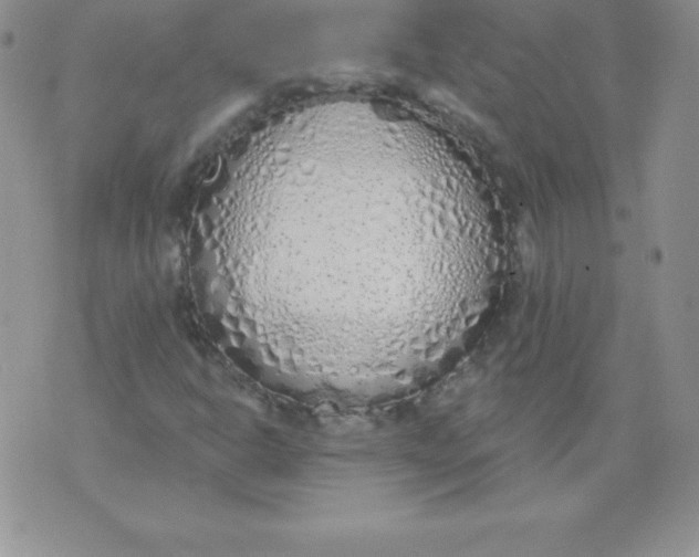 X0000071941302200607281933