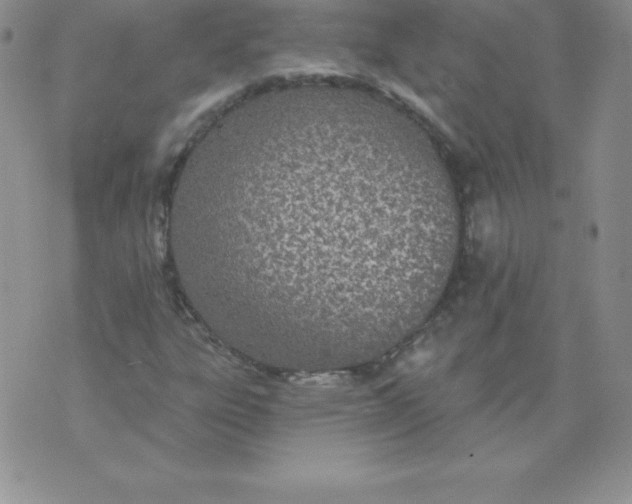 X0000071941303200607281933