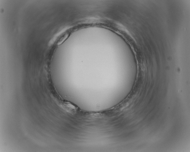 X0000071941304200607281933