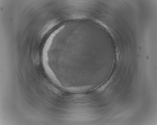 X0000071941306200607281933