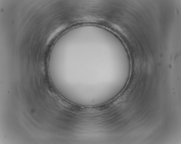 X0000071941307200607281933