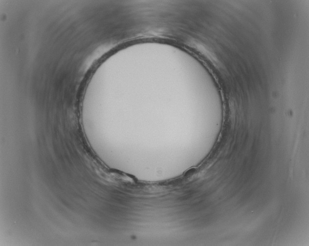 X0000071941308200607281933