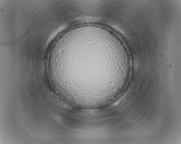 X0000071941309200607281933