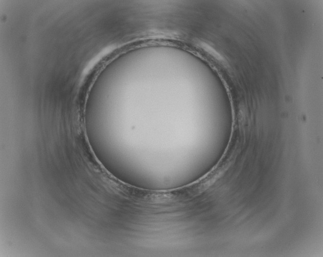 X0000071941310200607281933