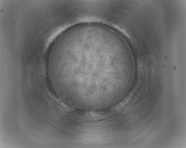 X0000071941311200607281933