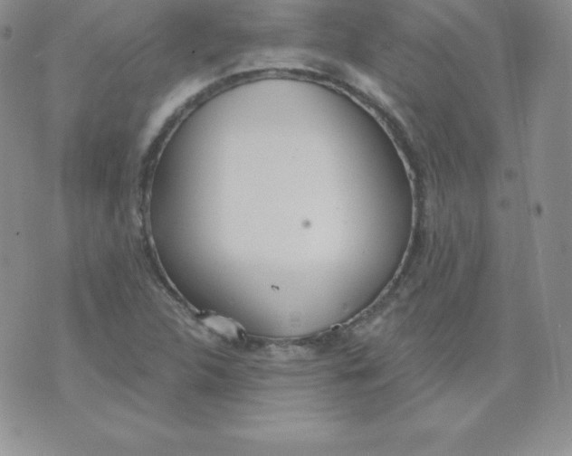 X0000071941312200607281933