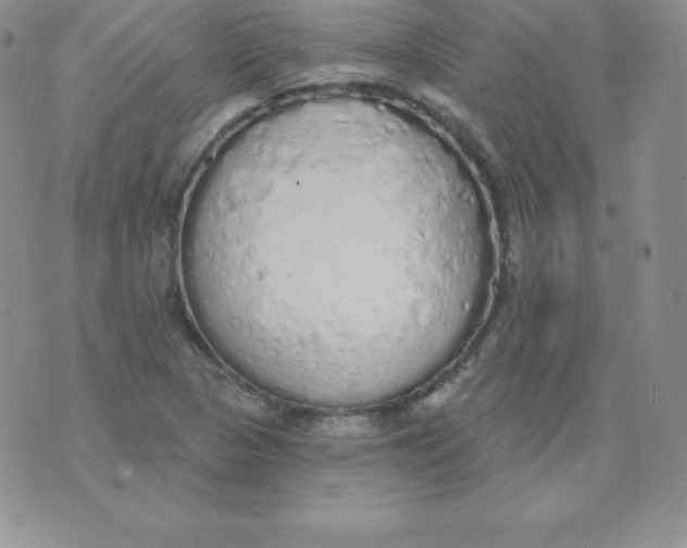 X0000071941313200607281933