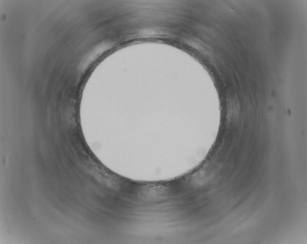 X0000071941314200607281933