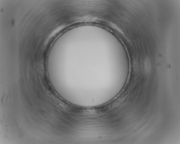 X0000071941315200607281934