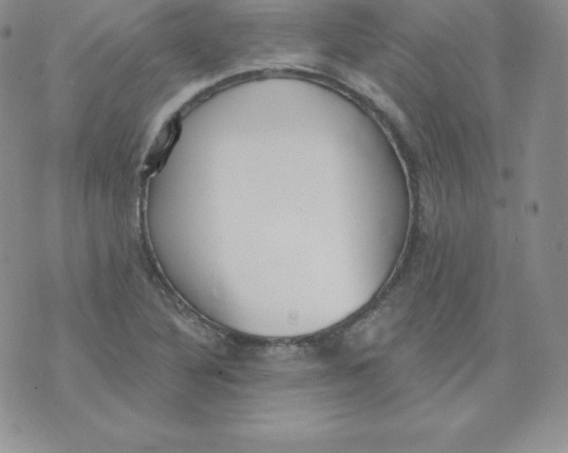 X0000071941316200607281934