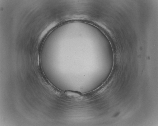 X0000071941317200607281934