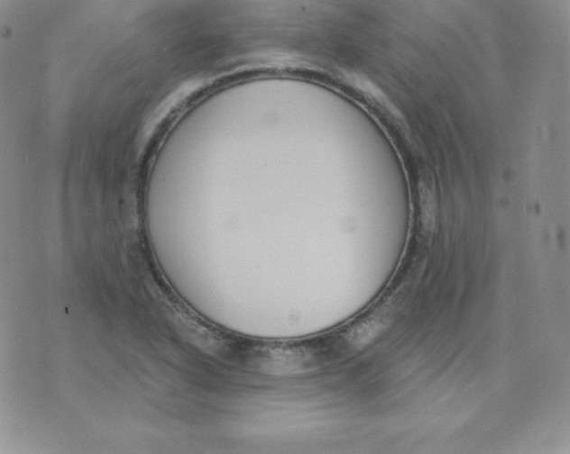 X0000071941318200607281934