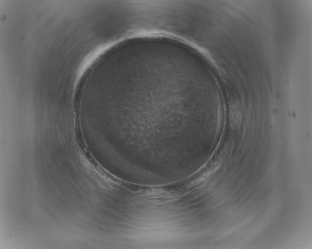 X0000071941319200607281934