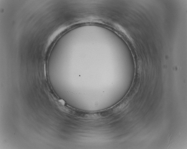 X0000071941320200607281934