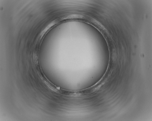 X0000071941321200607281934