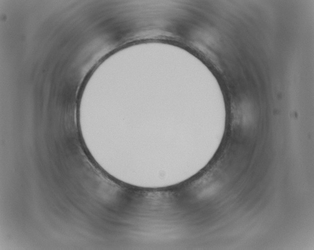 X0000071941322200607281934