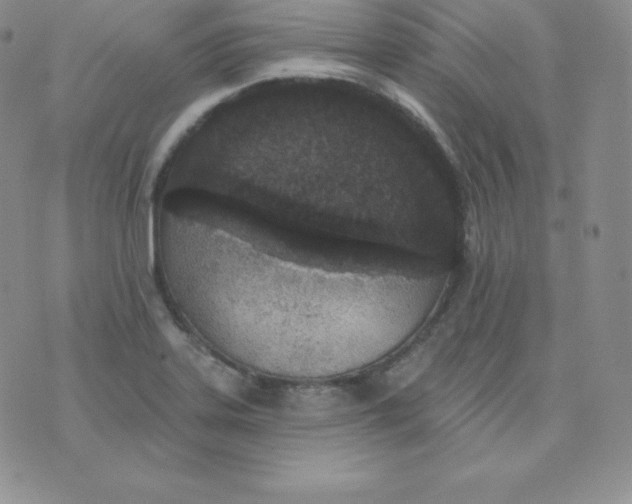 X0000071941323200607281934