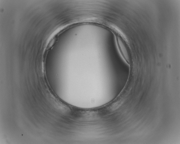 X0000071941324200607281934