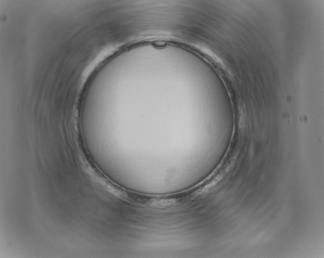 X0000071941325200607281934