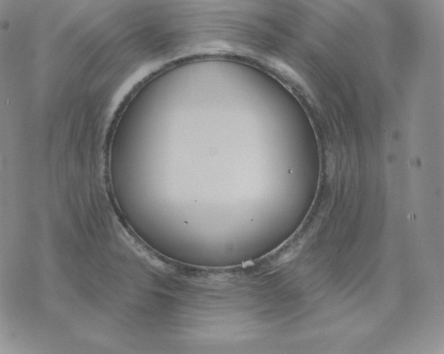 X0000071941326200607281934