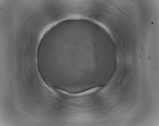 X0000071941327200607281934