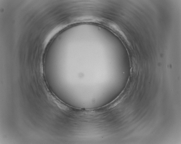 X0000071941328200607281934