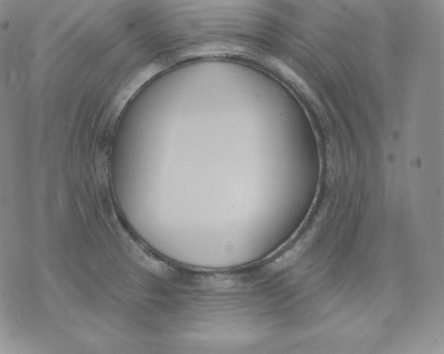 X0000071941329200607281934