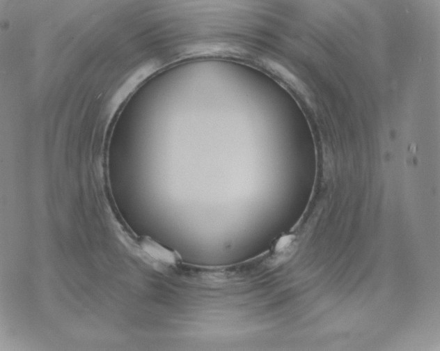 X0000071941330200607281934