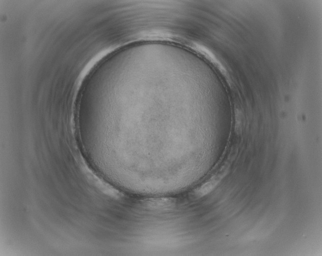 X0000071941331200607281934