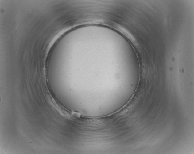 X0000071941332200607281934