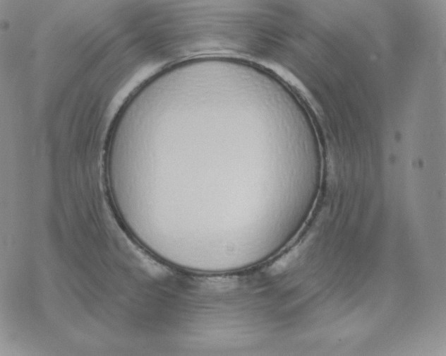 X0000071941333200607281934