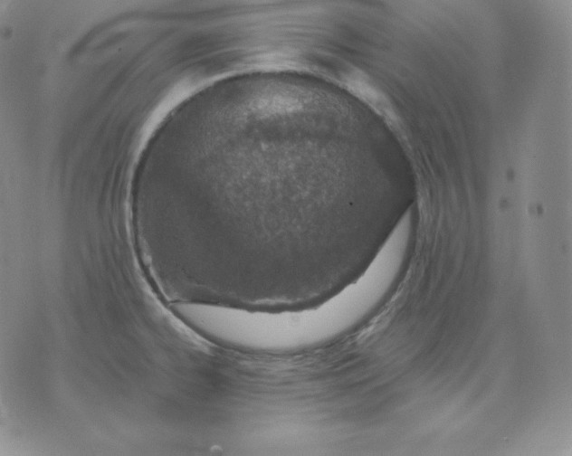 X0000071941334200607281934