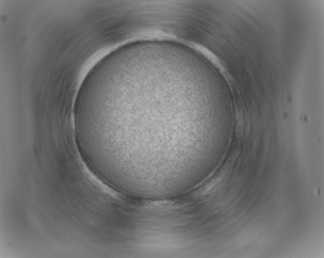 X0000071941335200607281934