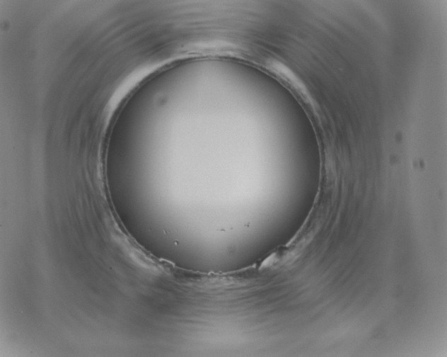 X0000071941336200607281934