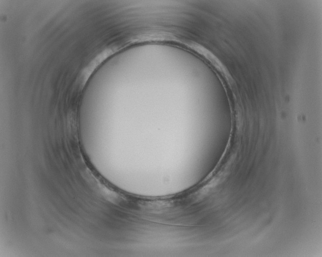 X0000071941337200607281934