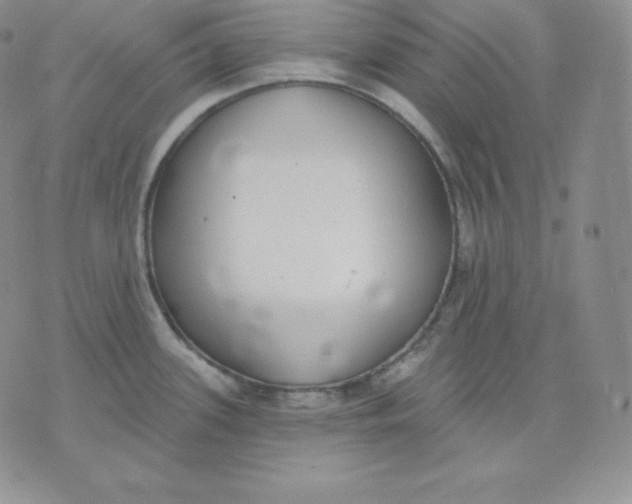 X0000071941339200607281934