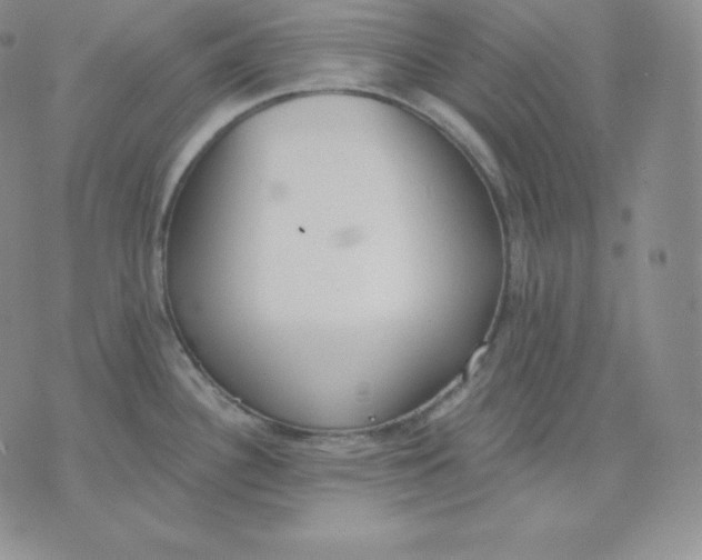 X0000071941340200607281934